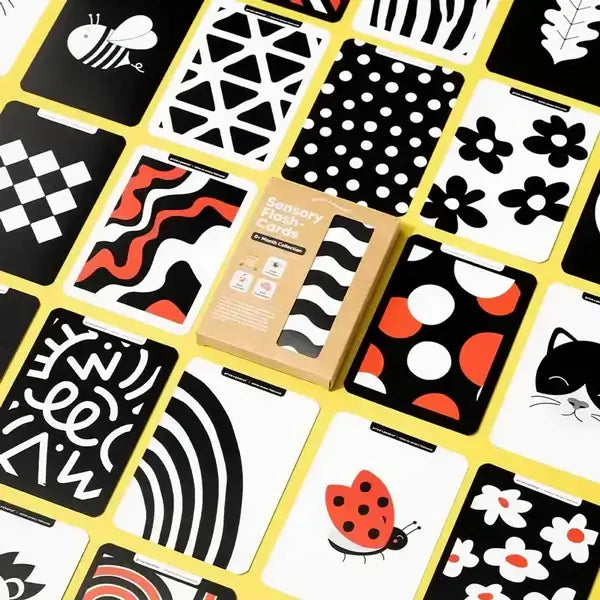 0+ Month Newborn Sensory Cards