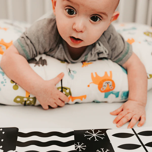 0+ Month Newborn Sensory Cards