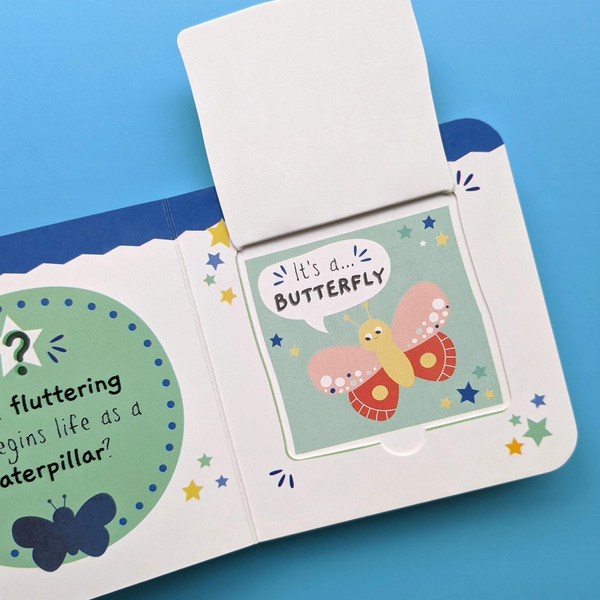 Bugs - Little Wonders My First Mini Lift the Flap Book