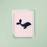 Number Flash Cards