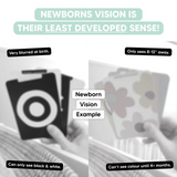 0+ Month Newborn Sensory Cards