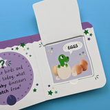 Dinosaurs - Little Wonders My First Mini Lift the Flap Book