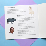 Paperback - When Llama Learns To Listen - Me and My Feelings Children's Book