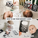 0+ Month Newborn Sensory Cards