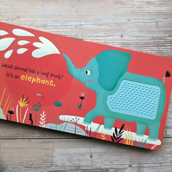 Touch and Feel Silicon Board Book - Safari