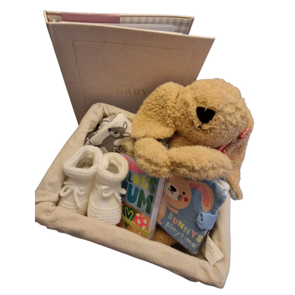 Baby Shower / New Baby Hamper Gift