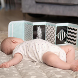 Baby Flashcard Sleeve (without Flash cards)